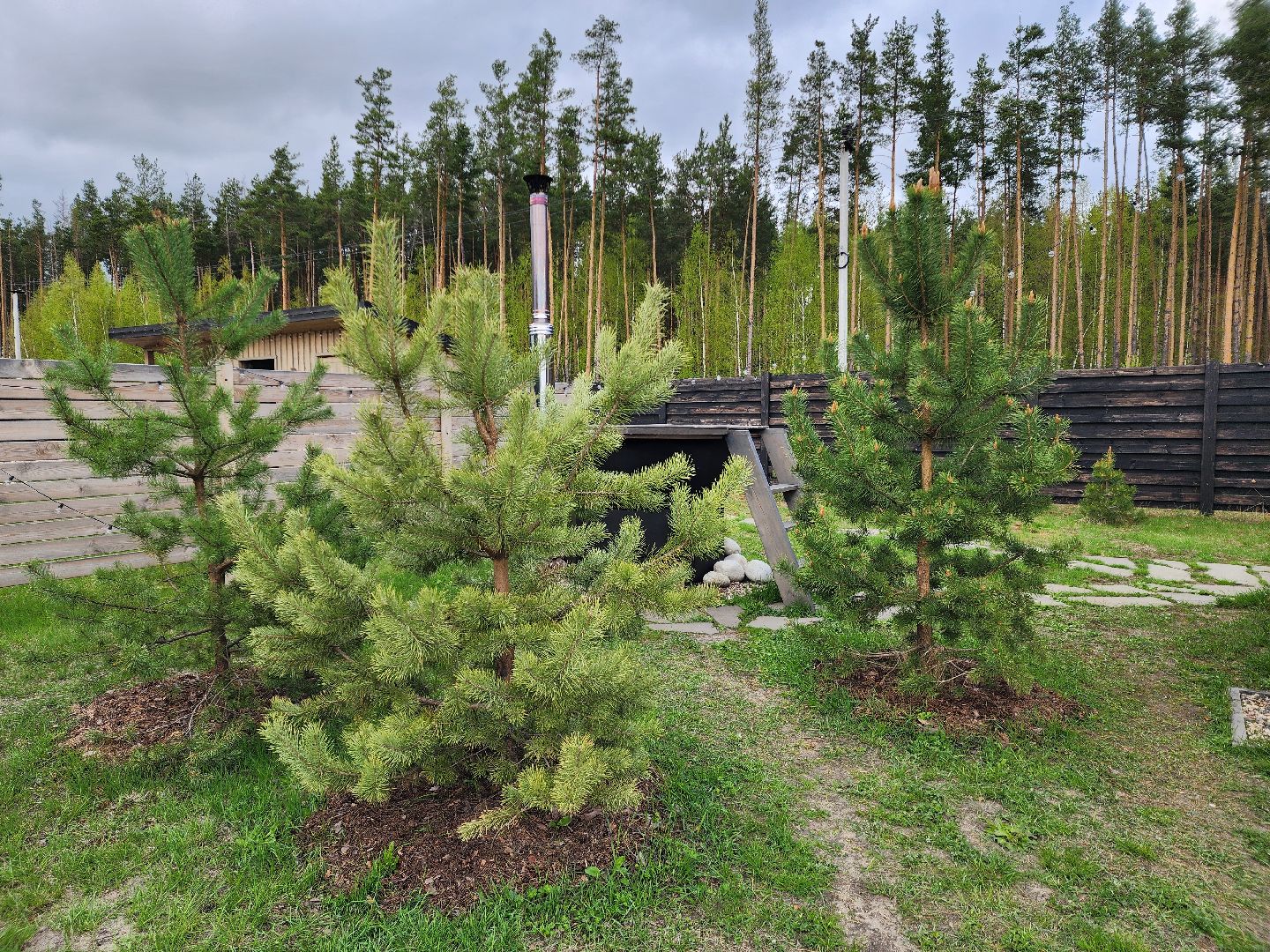 глэмпинг, шатурский округ, туризм в подмосковье,природа шатуры,