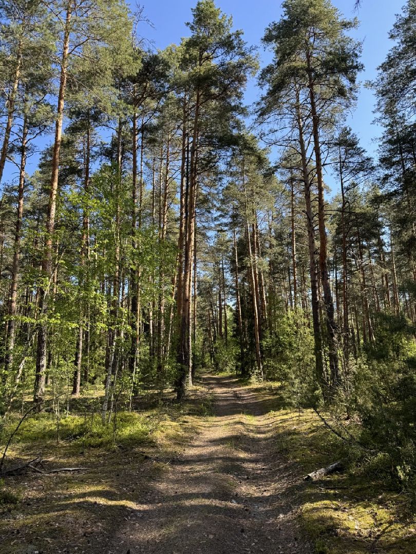 глэмпинг, шатурский округ, туризм в подмосковье,природа шатуры,