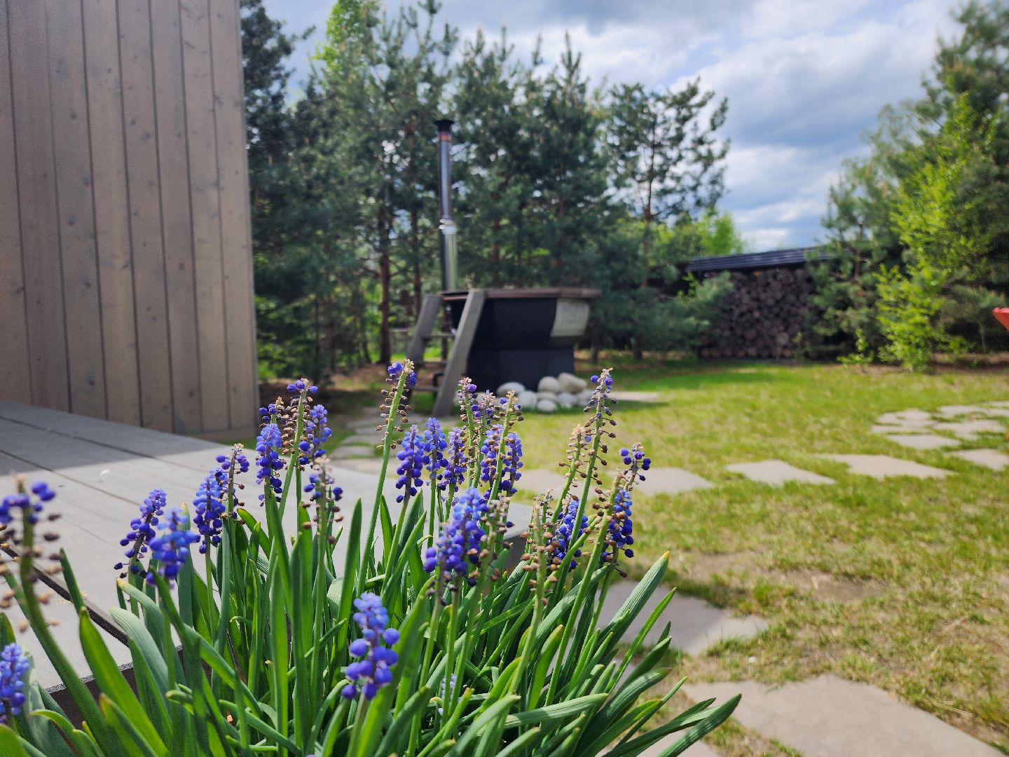 глэмпинг, шатурский округ, туризм в подмосковье,природа шатуры,