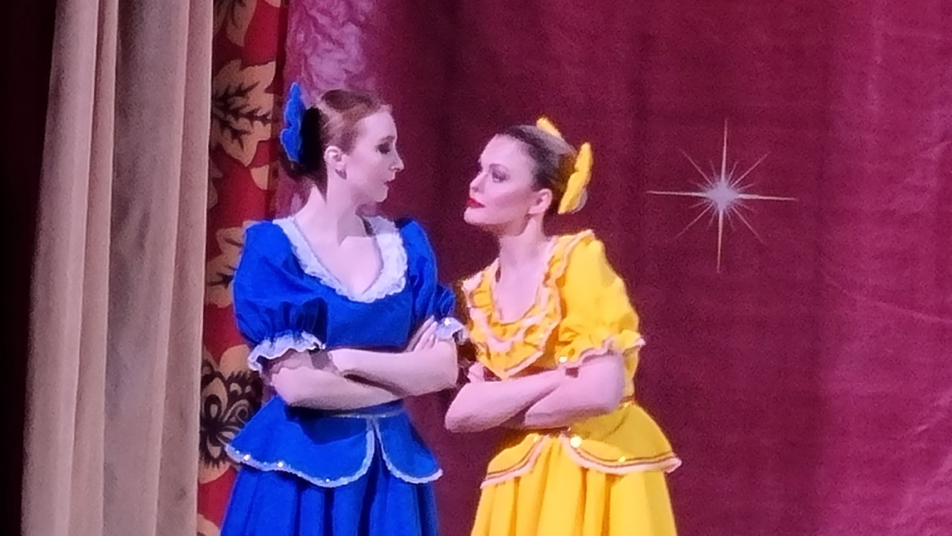 Подмосковье, Пушкинский городской округ, культура