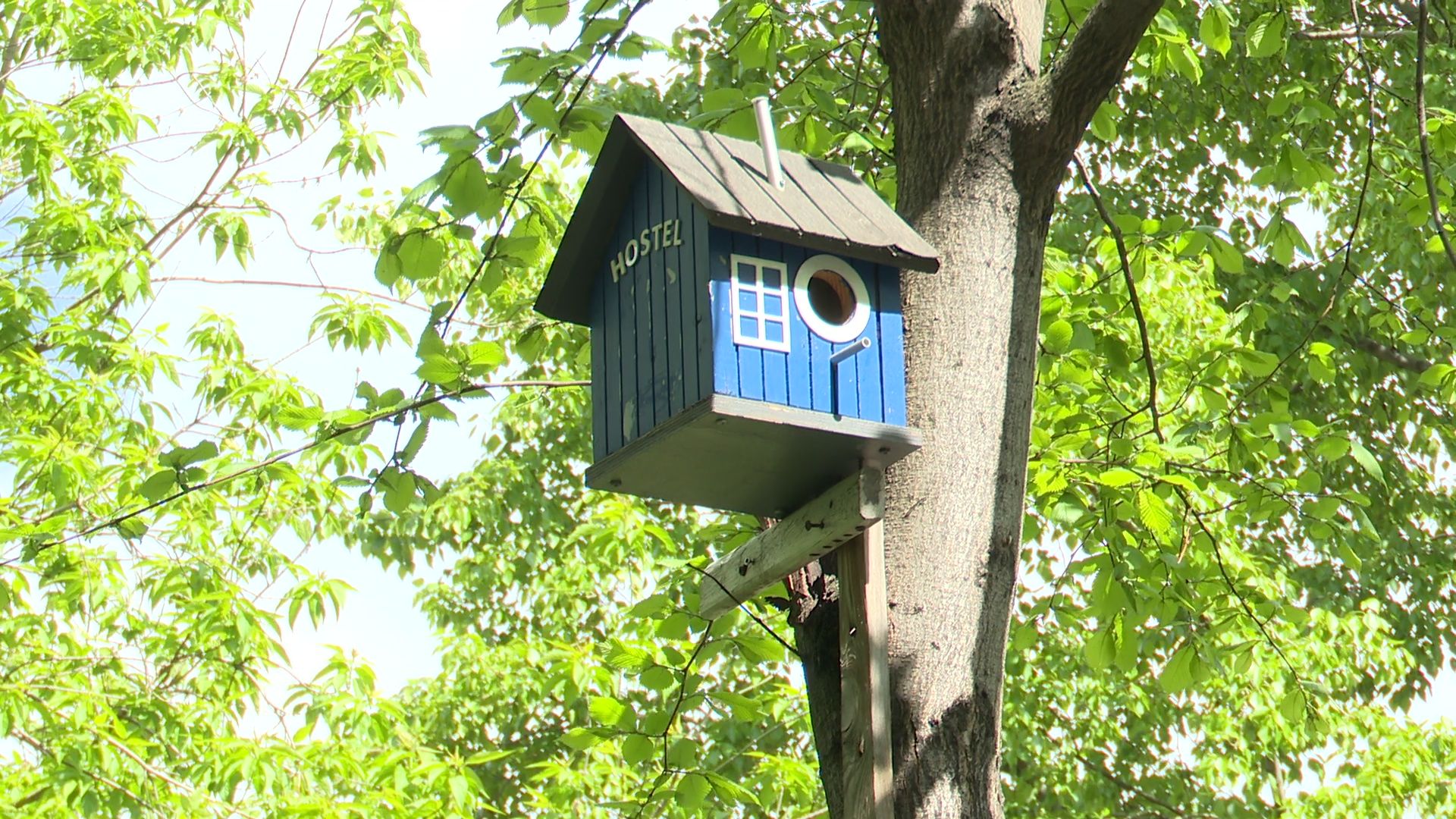 реутов, жкх, капремонт, дома,