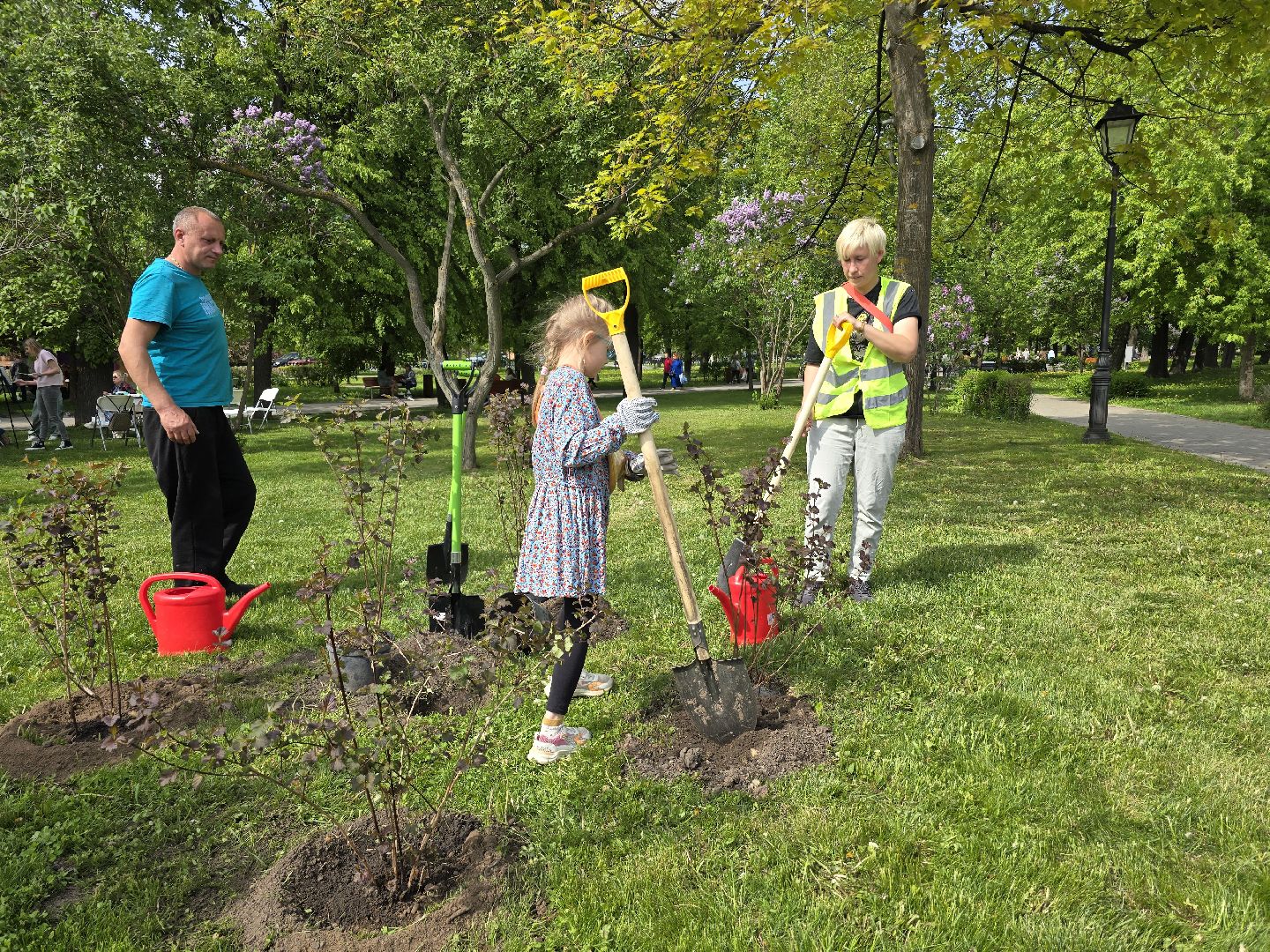 Коломна, открытие летнего сезона, высадка саженцев, озеленение,