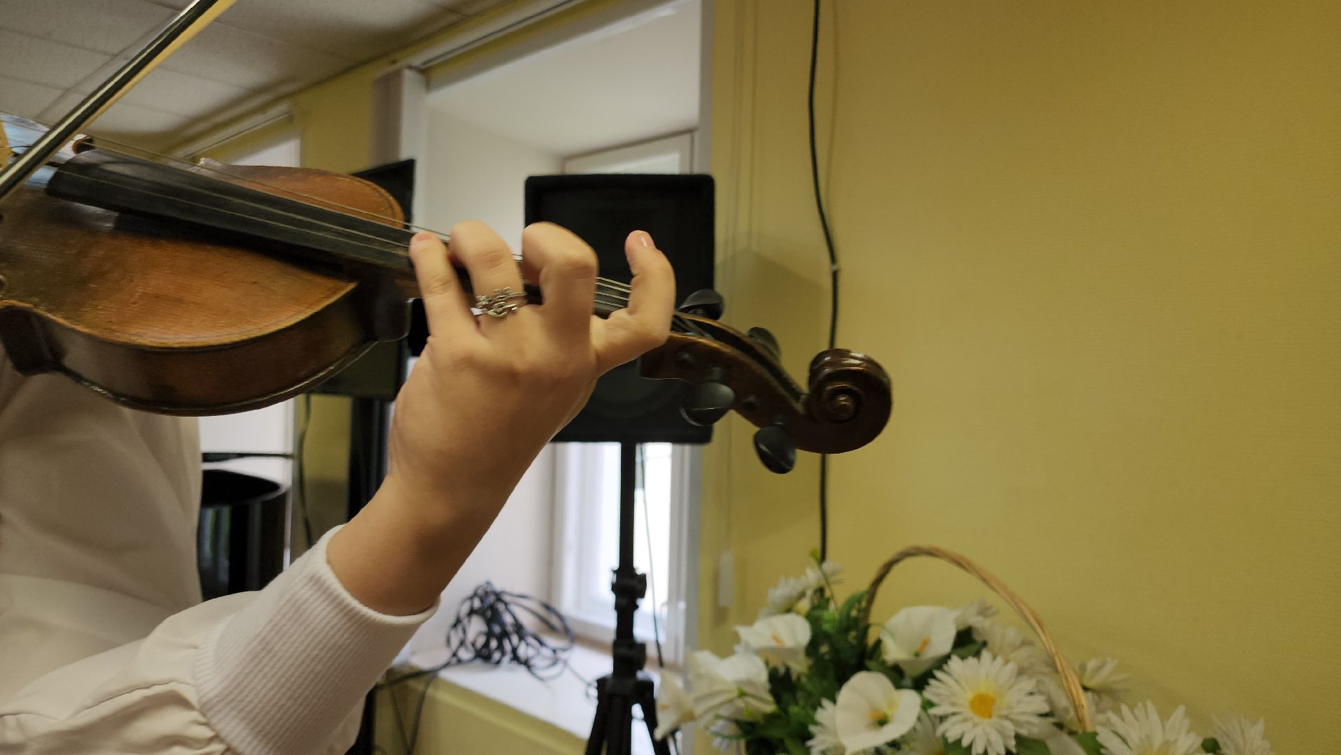 кашира, дши, скрипка, конкурс,  80 лет победы, одаренные дети,