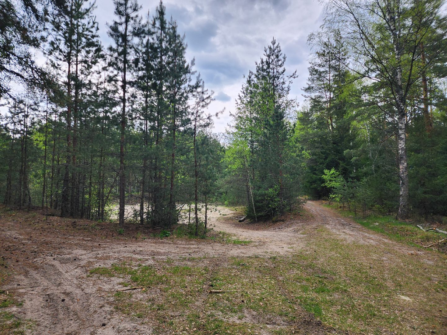 природа шатуры, шатурский край, шатурский округ, туристические маршруты,