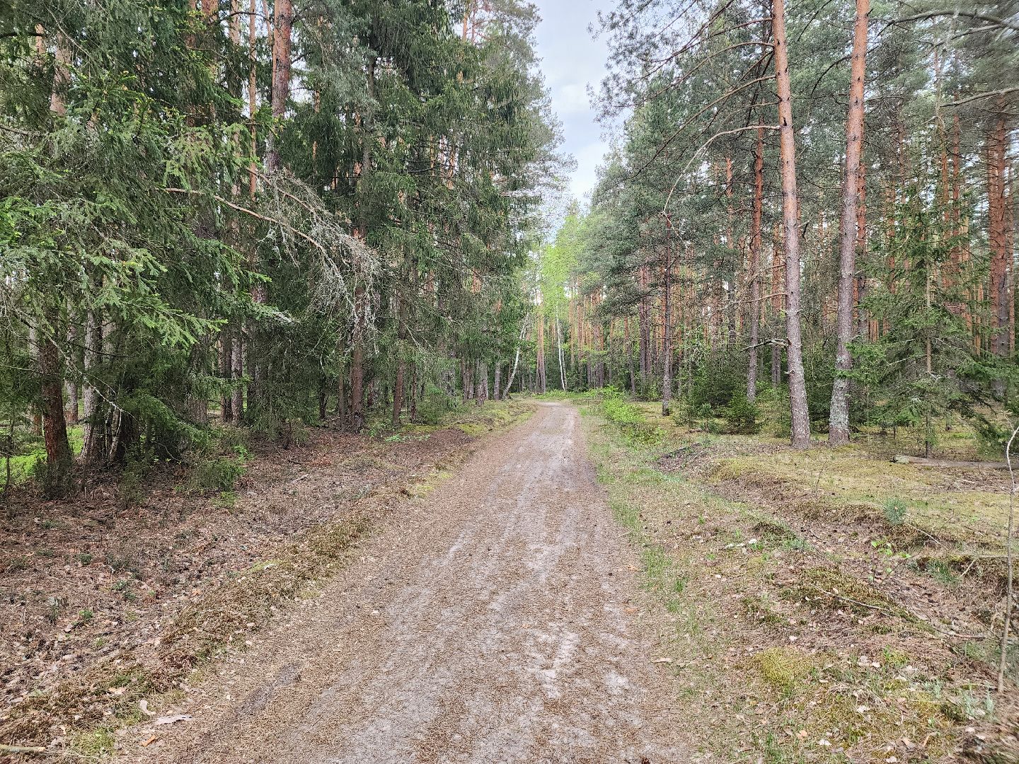 природа шатуры, шатурский край, шатурский округ, туристические маршруты,