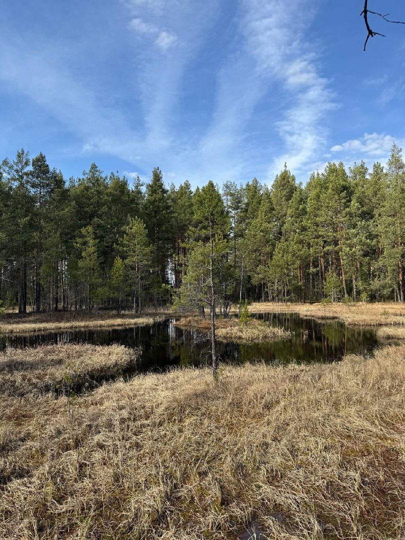 природа шатуры, шатурский край, шатурский округ, туристические маршруты,