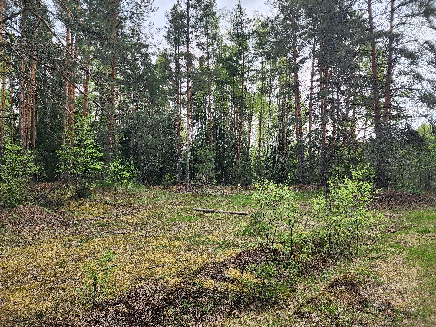 природа шатуры, шатурский край, шатурский округ, туристические маршруты,