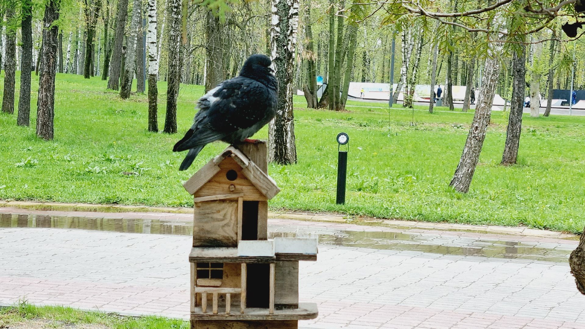 Подмосковье, Ивантеевка, общество