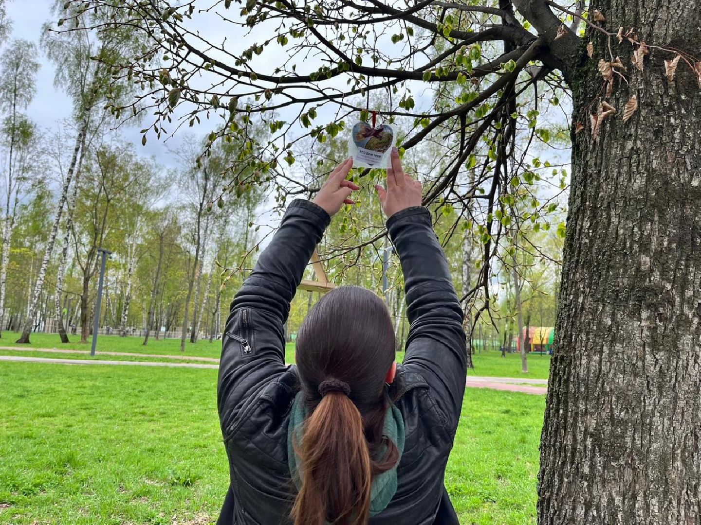 Подмосковье, Ивантеевка, общество