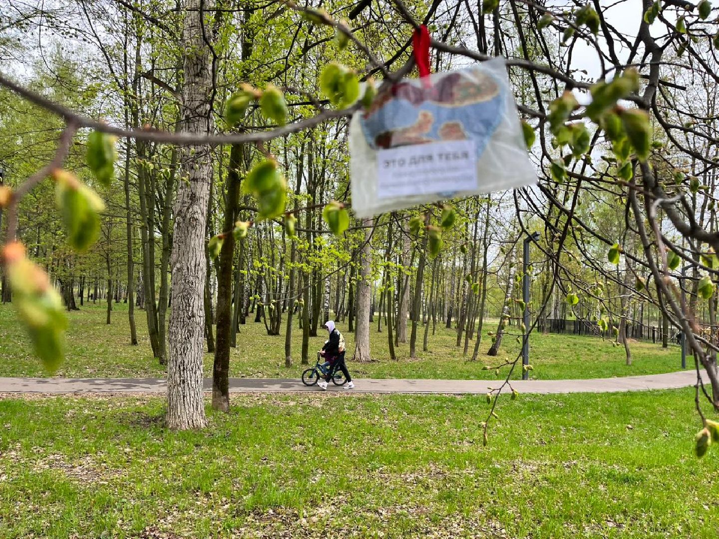 Подмосковье, Ивантеевка, общество