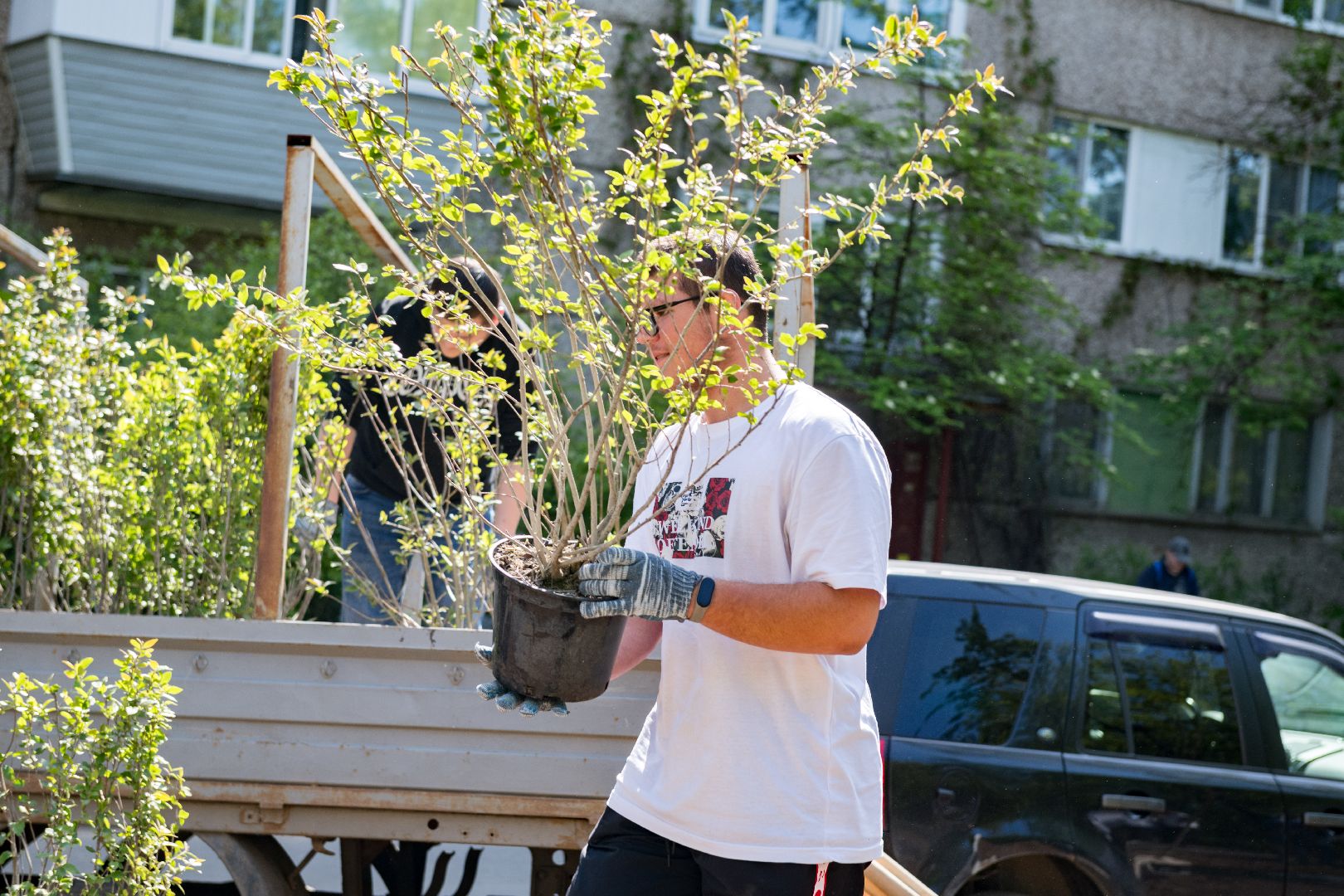 лыткарино,  благоуйстройство, сад памяти, 80 - летие победы,