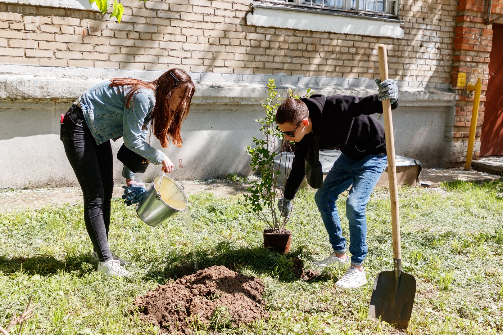 лыткарино,  благоуйстройство, сад памяти, 80 - летие победы,