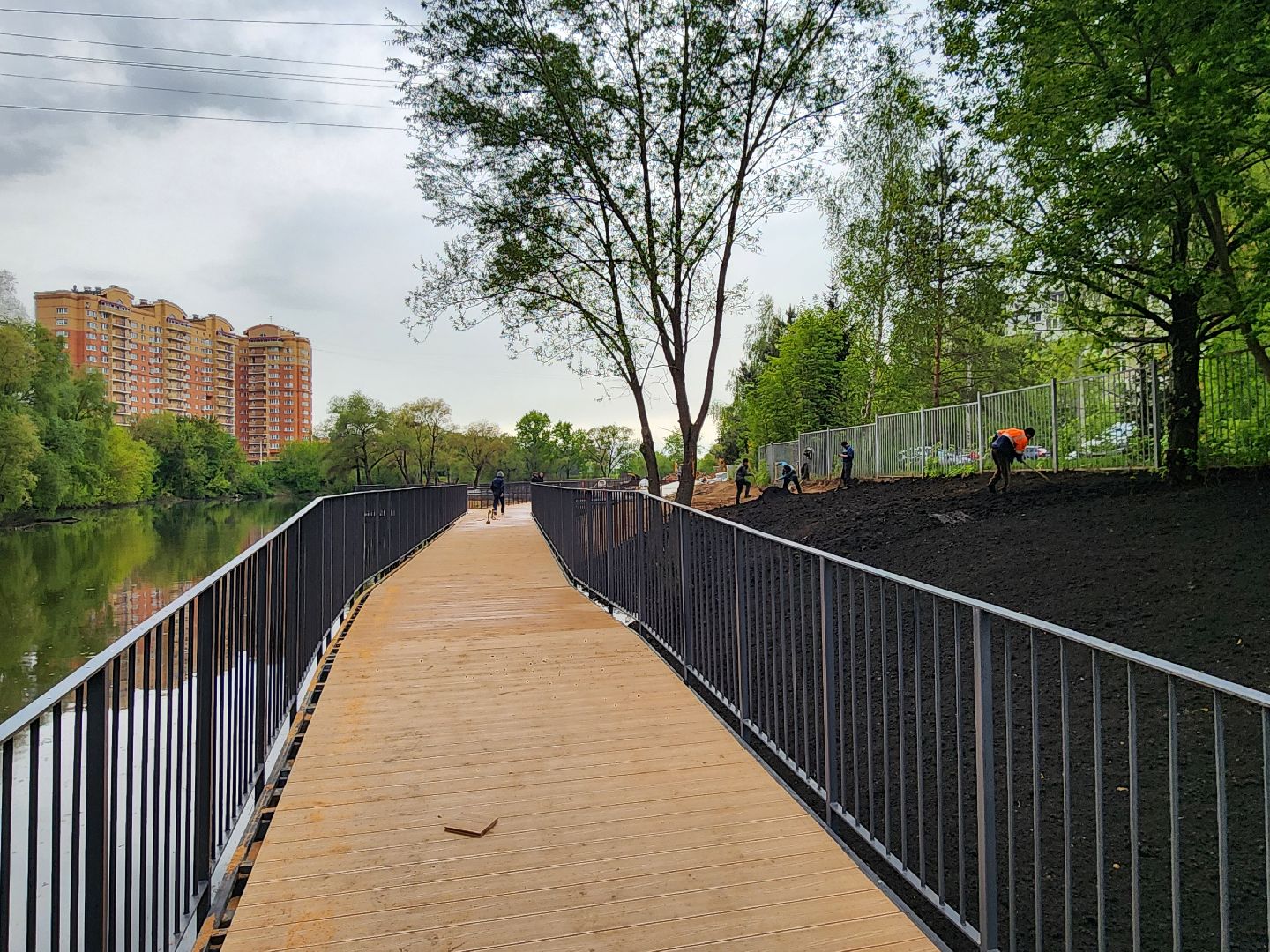 чехов, улица береговая, набережная реки теребенка, благоустройство, реконструкция, строительство, пешеходные зоны, дорожки на сваях, металлические каркасы, деревянные настилы, укладка настилов, ограждения, сварочные работы, госпрограмма московской области,