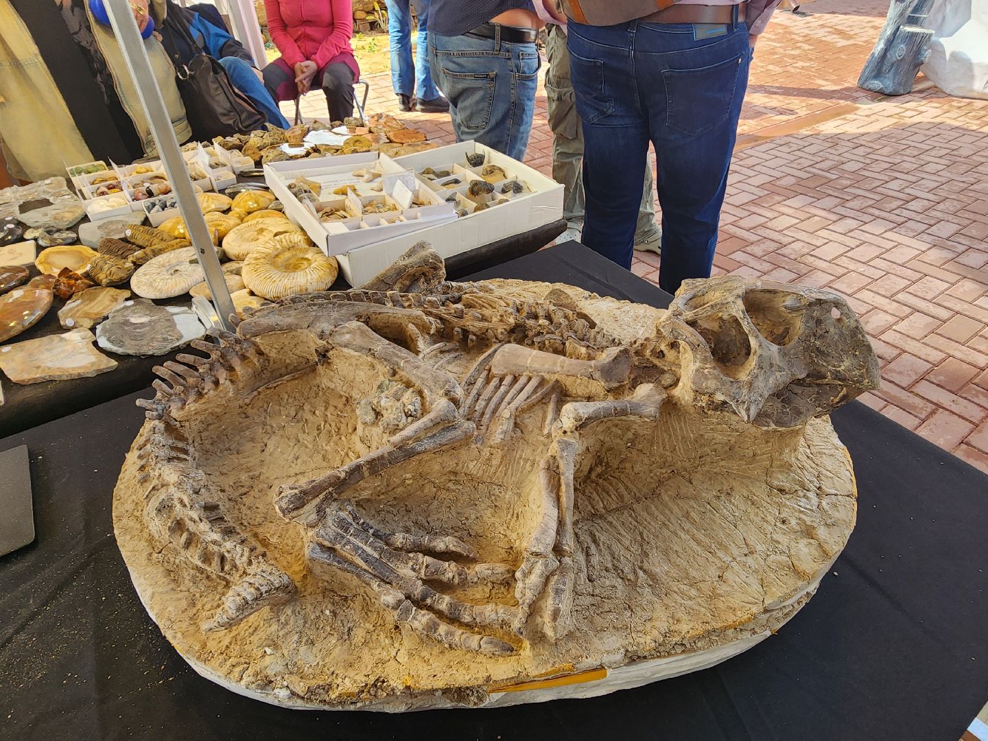 Музей, Истра,  История мироздания, Динозавры, Ярмарка, Мастер-класс,