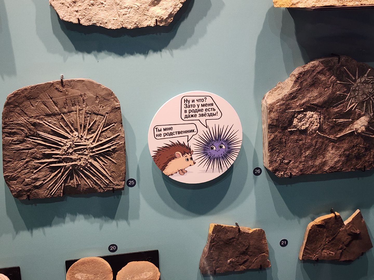 Музей, Истра,  История мироздания, Динозавры, Ярмарка, Мастер-класс,