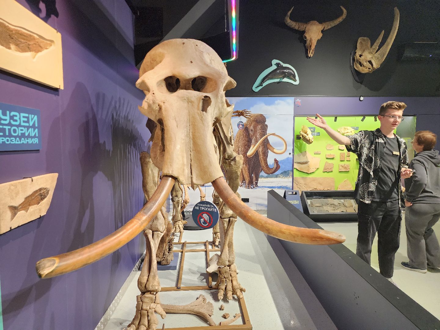 Музей, Истра,  История мироздания, Динозавры, Ярмарка, Мастер-класс,