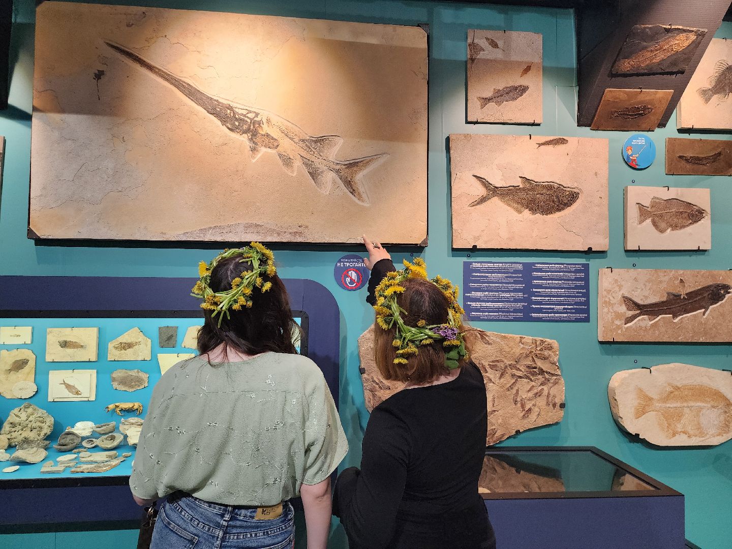 Музей, Истра,  История мироздания, Динозавры, Ярмарка, Мастер-класс,