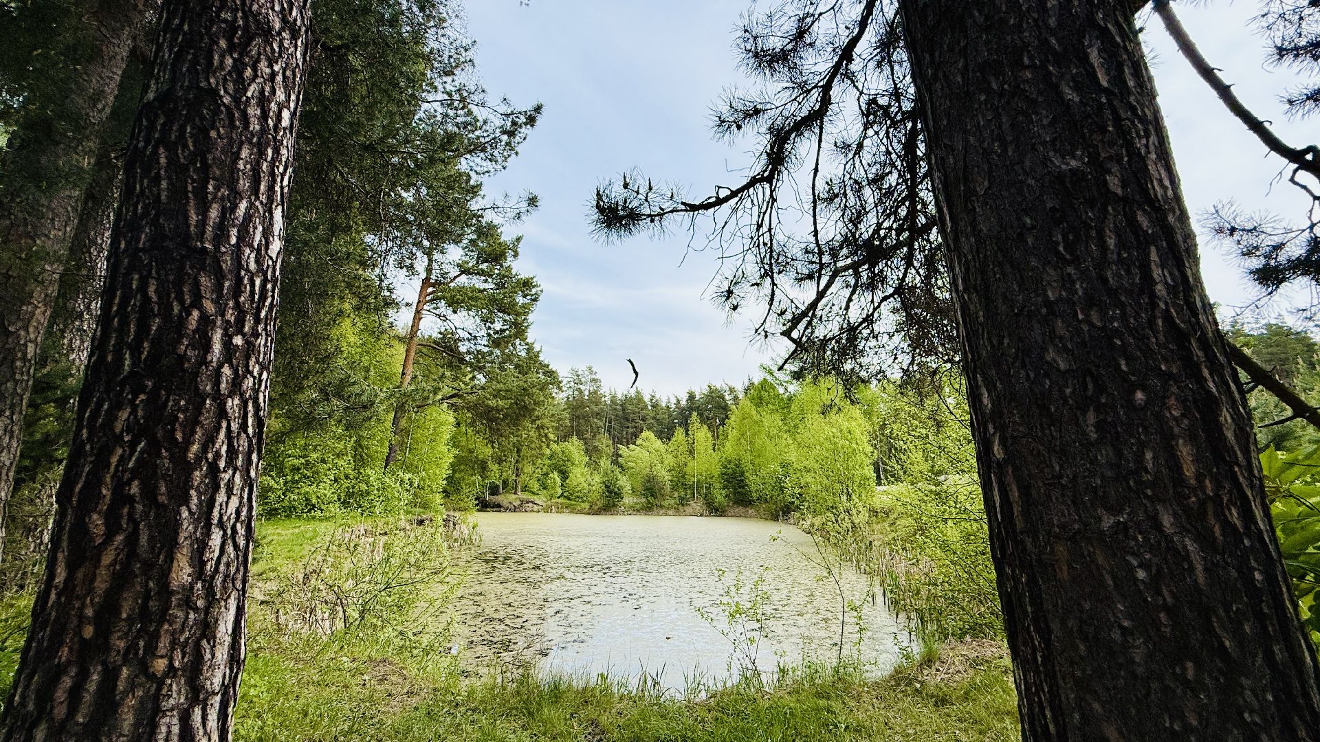 раменское, походы, Туризм, дети и родители,