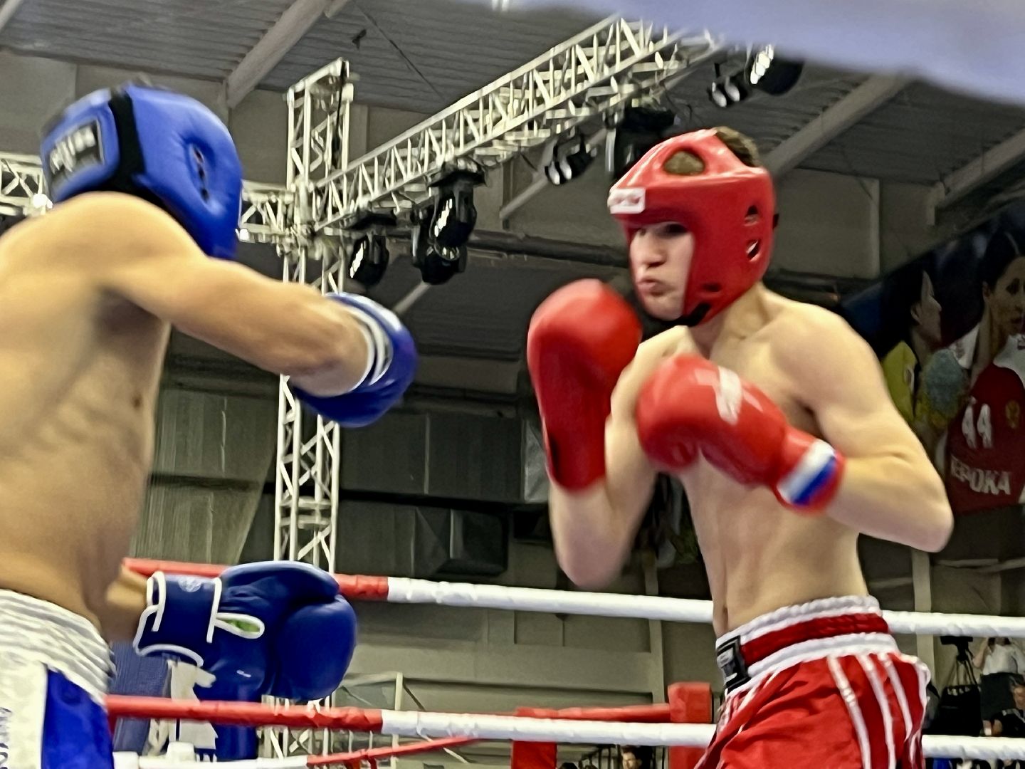 наро-фоминск, наро-фоминский городской округ, чемпионат россии по кикбоксингу, роман шамнэ, федерация кикбоксинга,