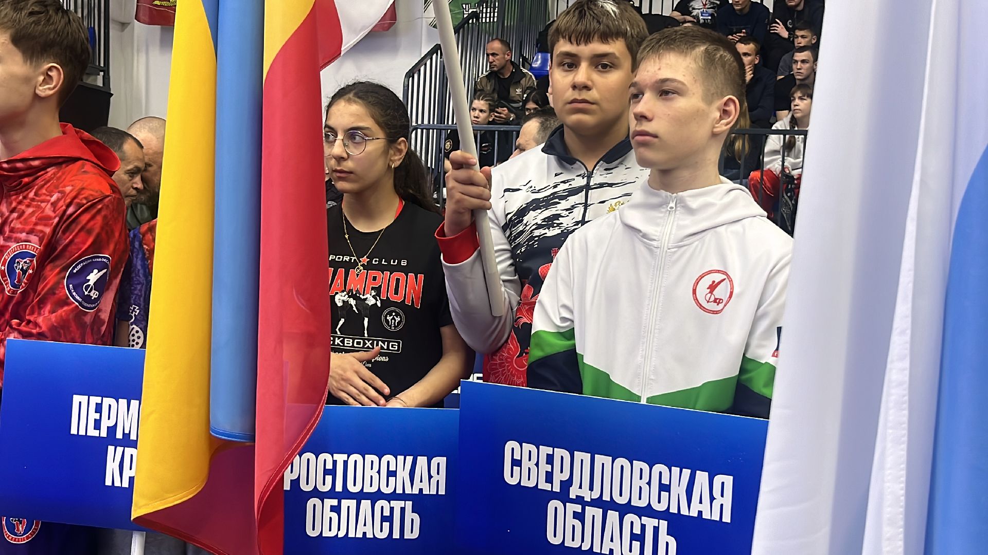 наро-фоминск, наро-фоминский городской округ, чемпионат россии по кикбоксингу, роман шамнэ, федерация кикбоксинга,