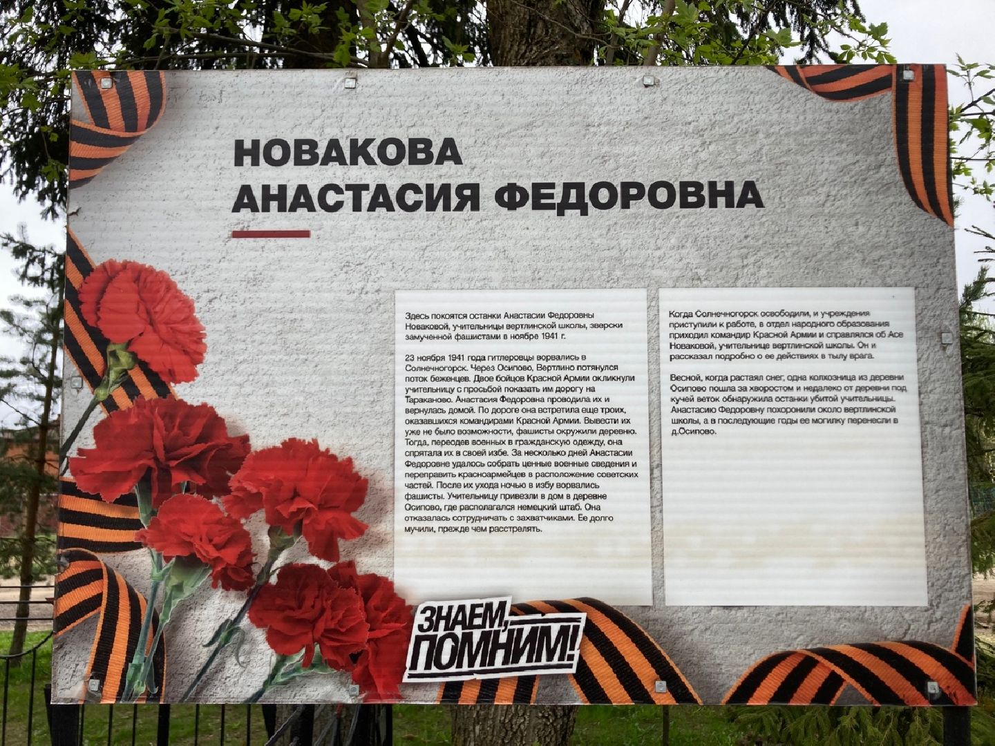 солнечногорск, история вов, анастасия новакова, школьники,