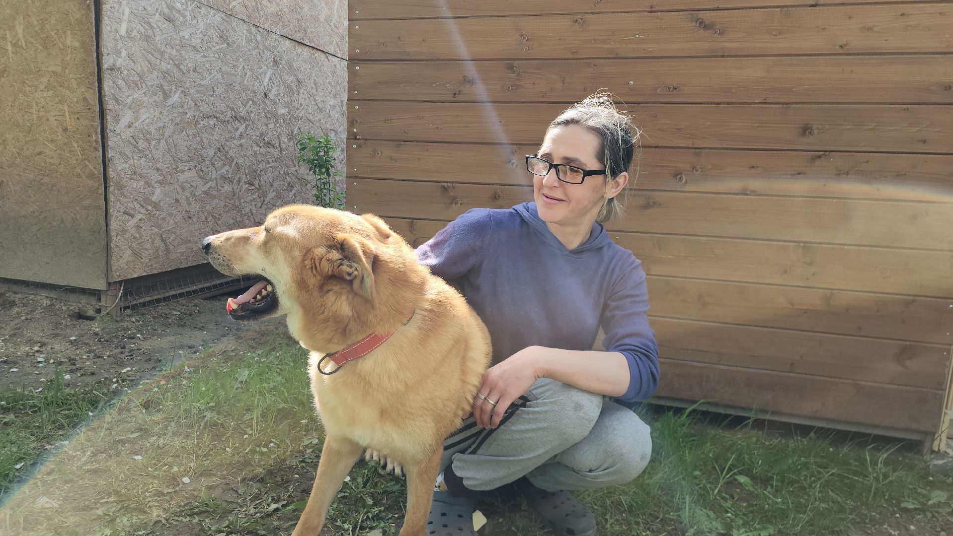 волонтер, Истра, щенки, котята, животные, спасение животных,