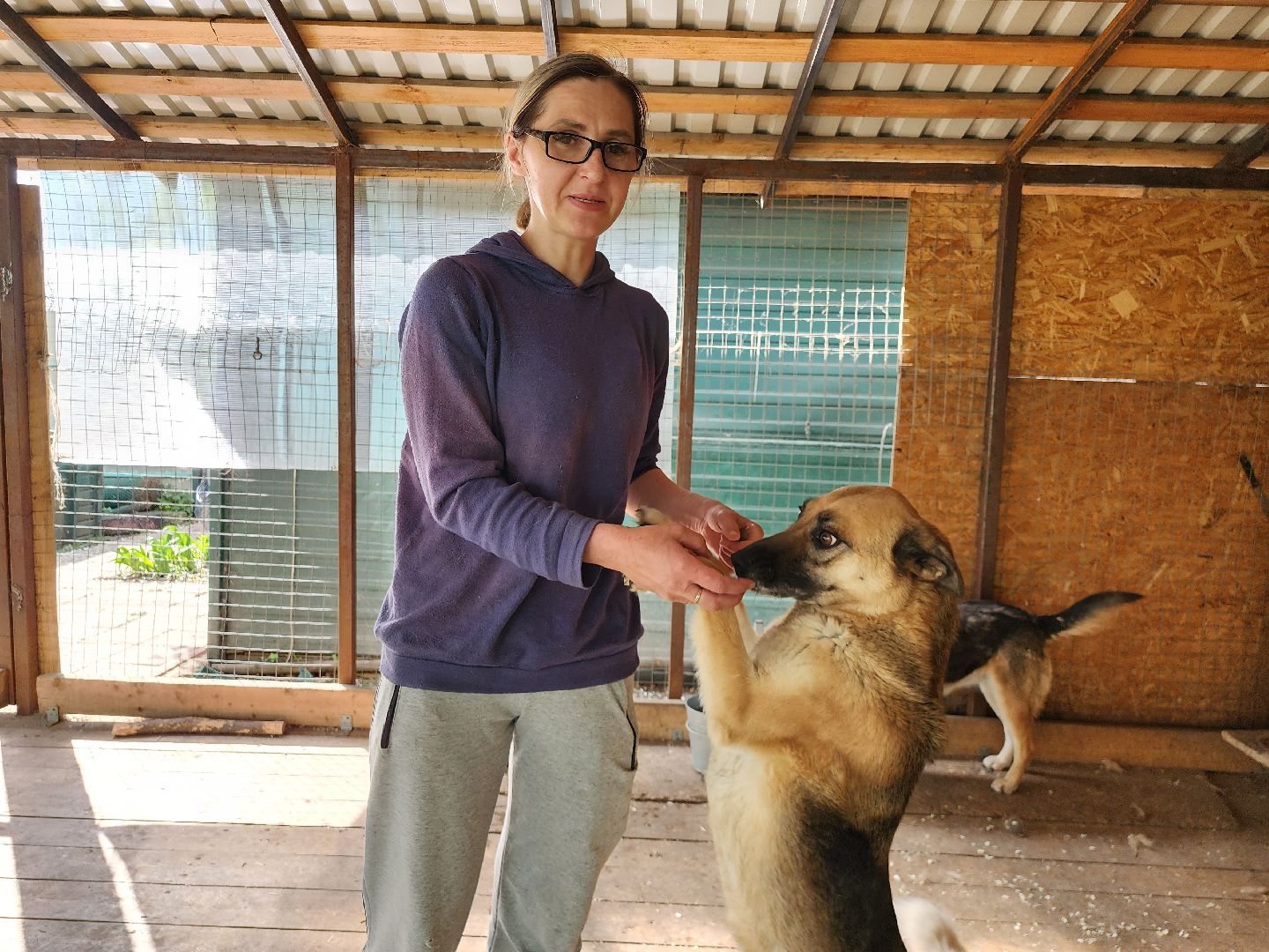 волонтер, Истра, щенки, котята, животные, спасение животных,