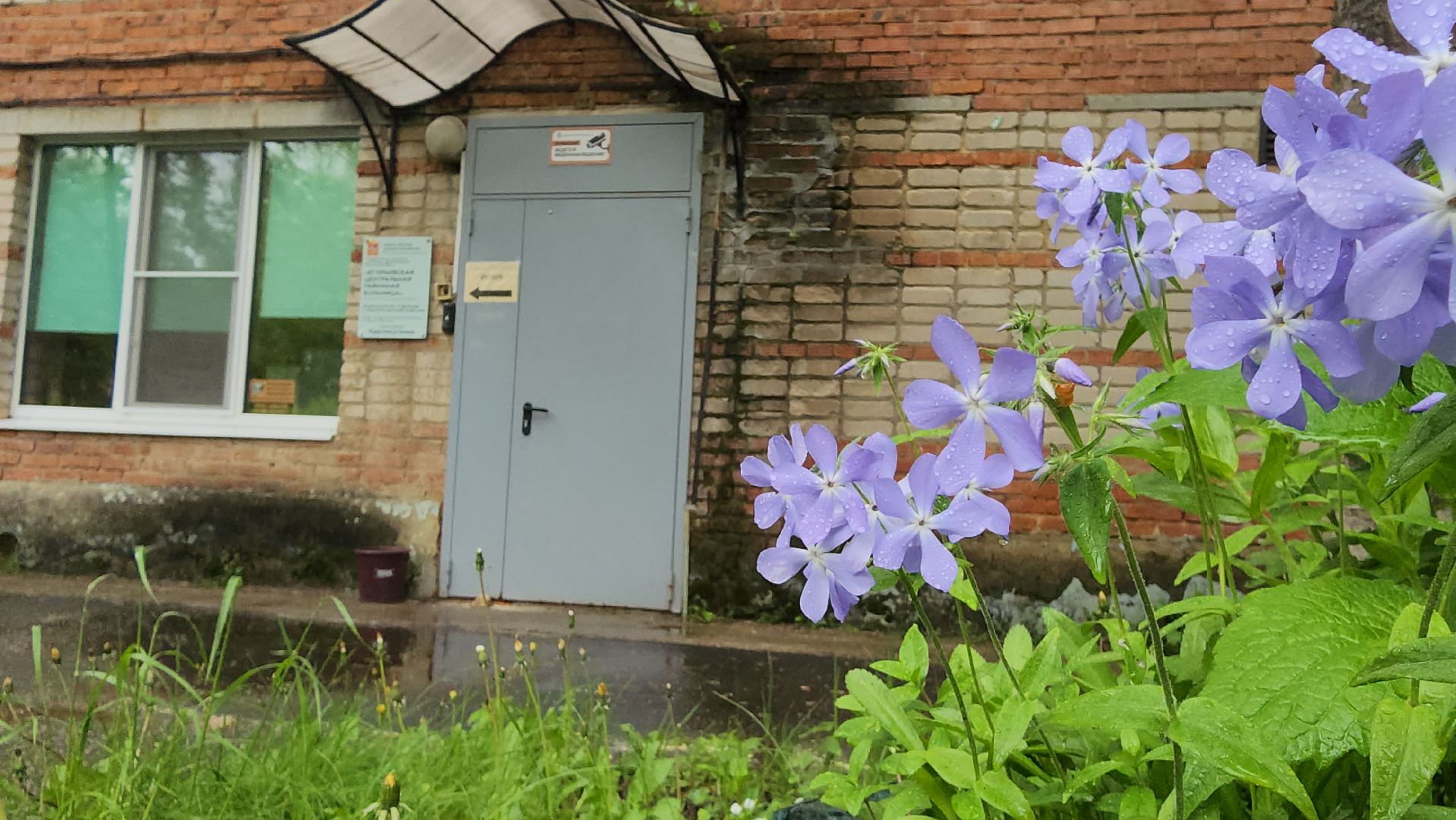 Егорьевск, Подмосковье, Московская область,