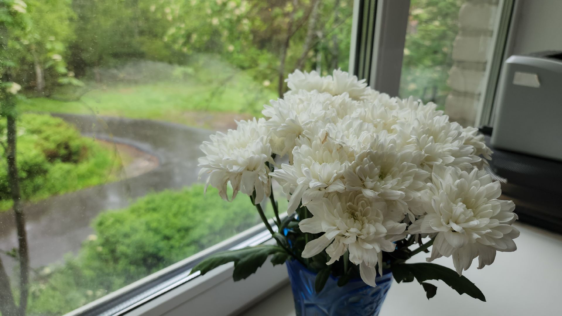 Егорьевск, Подмосковье, Московская область,