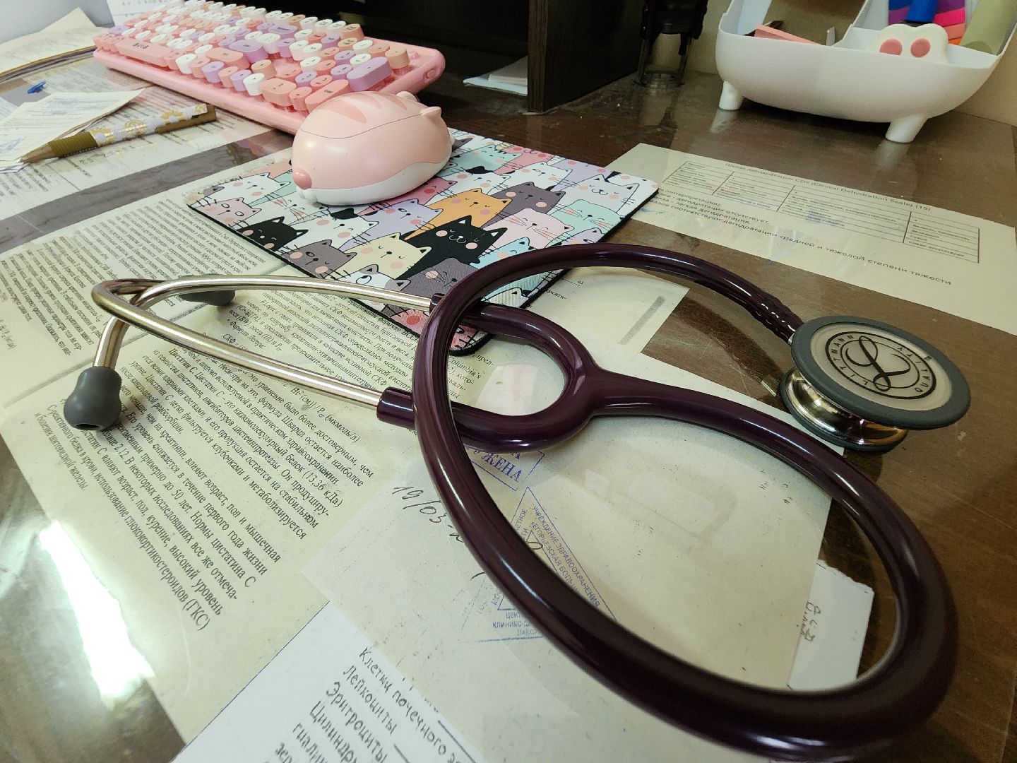 Егорьевск, Подмосковье, Московская область,