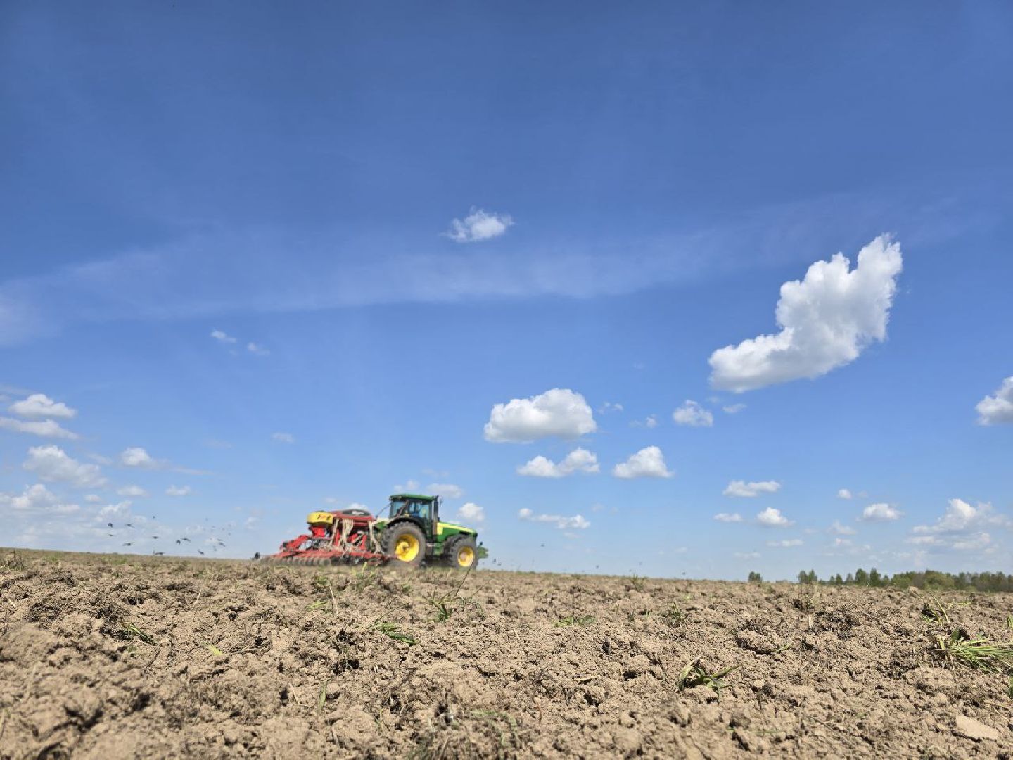 можайск, можайский муниципальный округ, подмосковье, сельское хозяйство, весенне-полевые работы, совхоз можайский,