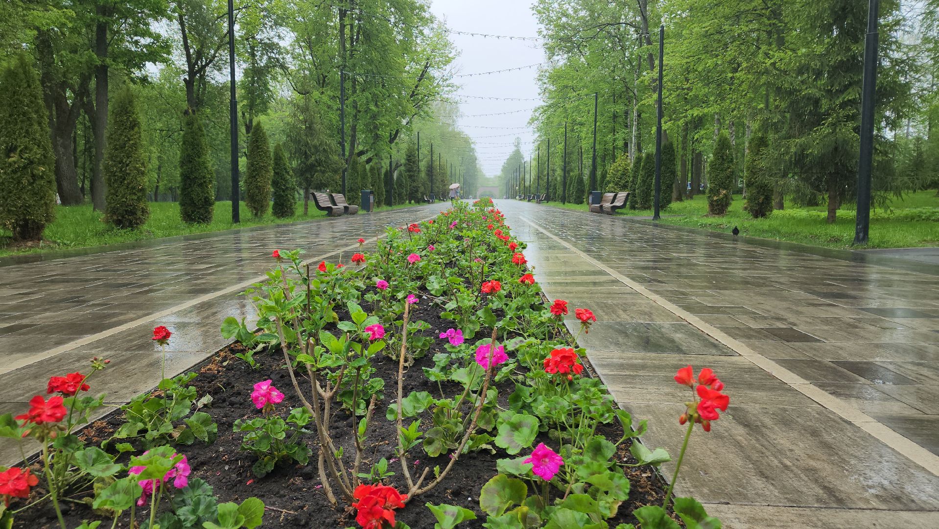 ступино, парки подмосковья, лето в подмосковье,