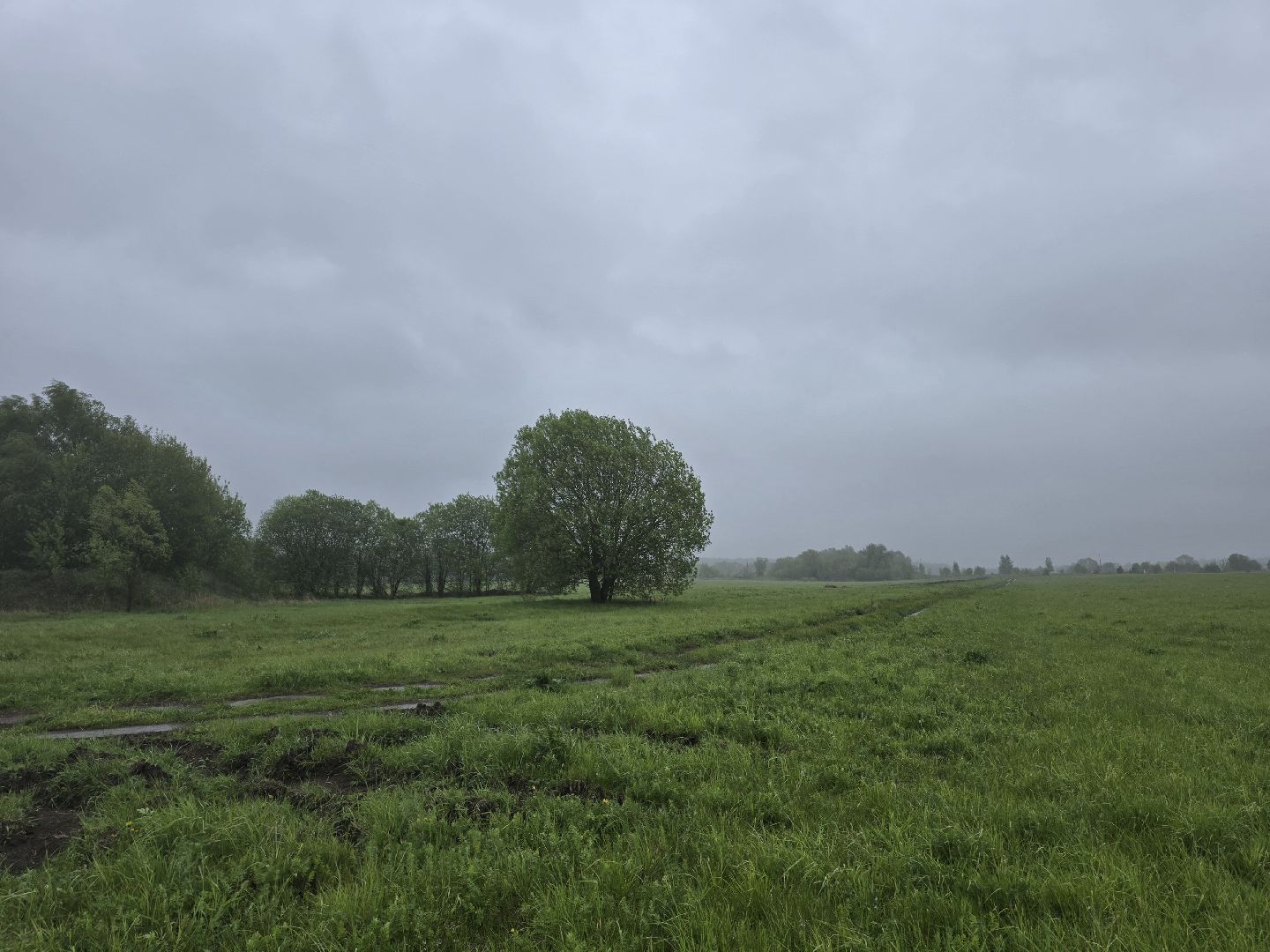 Коломна, крестьянско-фермерское хозяйство, кфх,