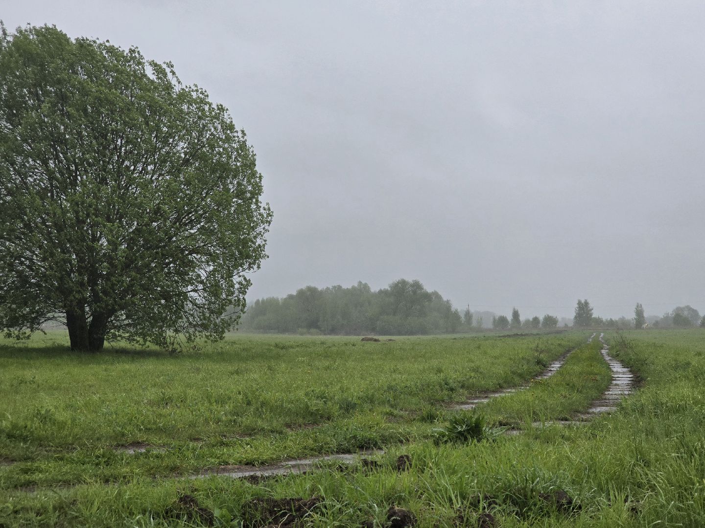 Коломна, крестьянско-фермерское хозяйство, кфх,