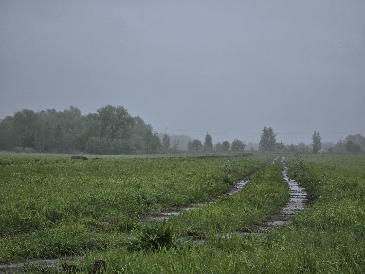 Коломна, крестьянско-фермерское хозяйство, кфх,