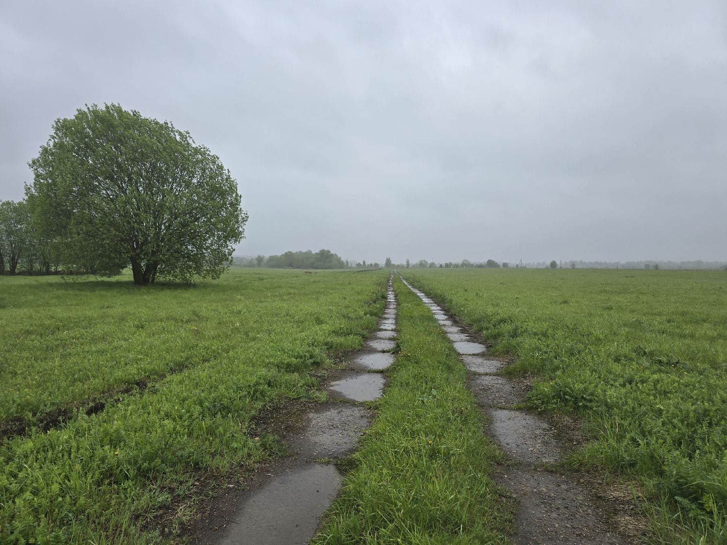 Коломна, крестьянско-фермерское хозяйство, кфх,