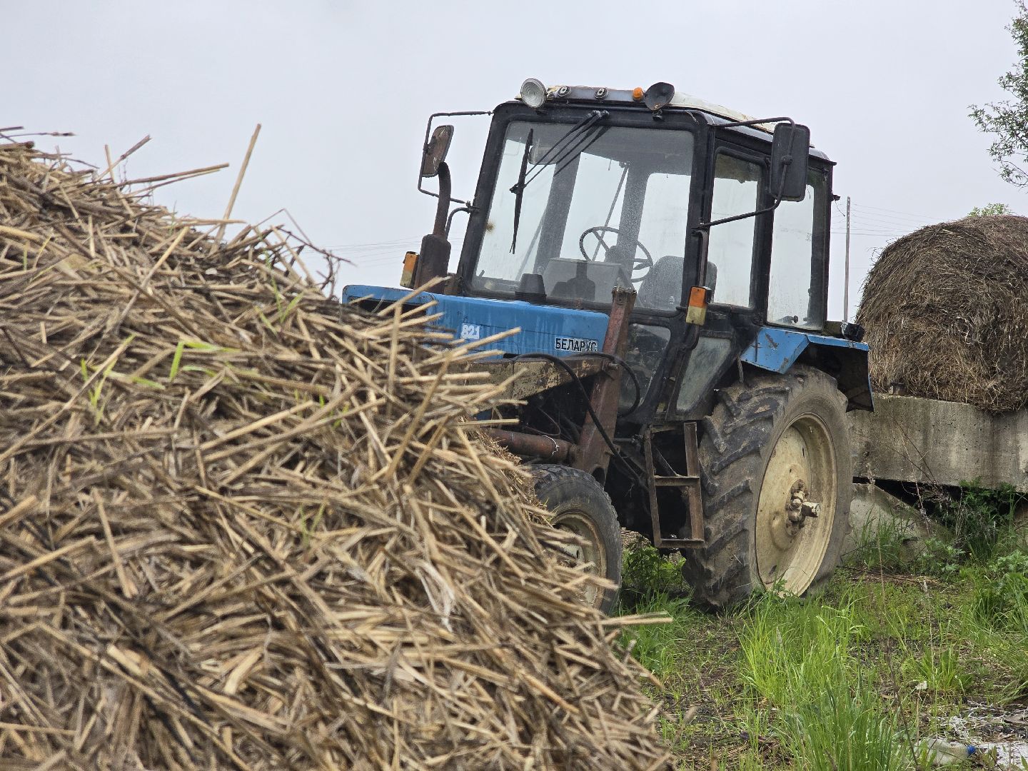 Коломна, крестьянско-фермерское хозяйство, кфх,