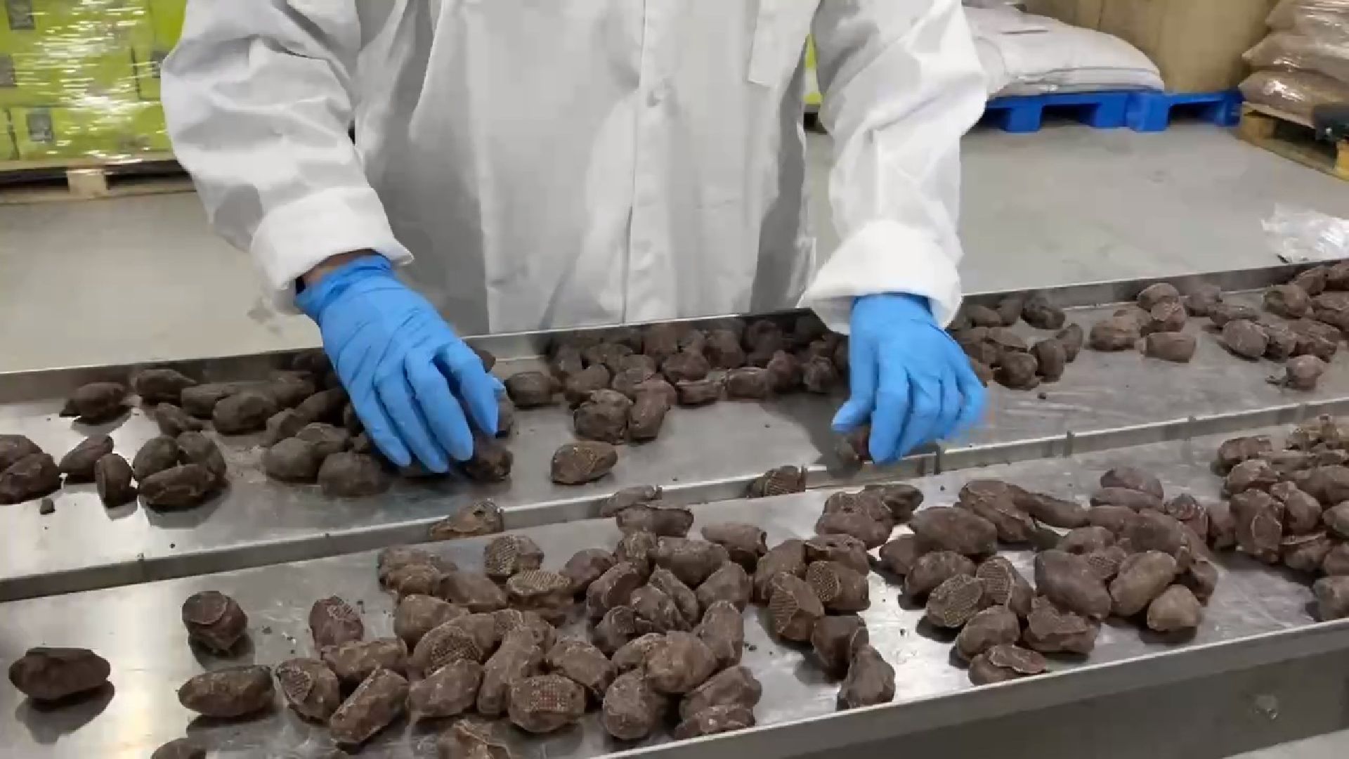 чехов, улица литейная, компания орбита, кондитерское производство, продукты здорового питания, орехи и сухофрукты, новая линейка продукции, финики с миндалем в глазури, вкус карамели, белый молочный темный шоколад,