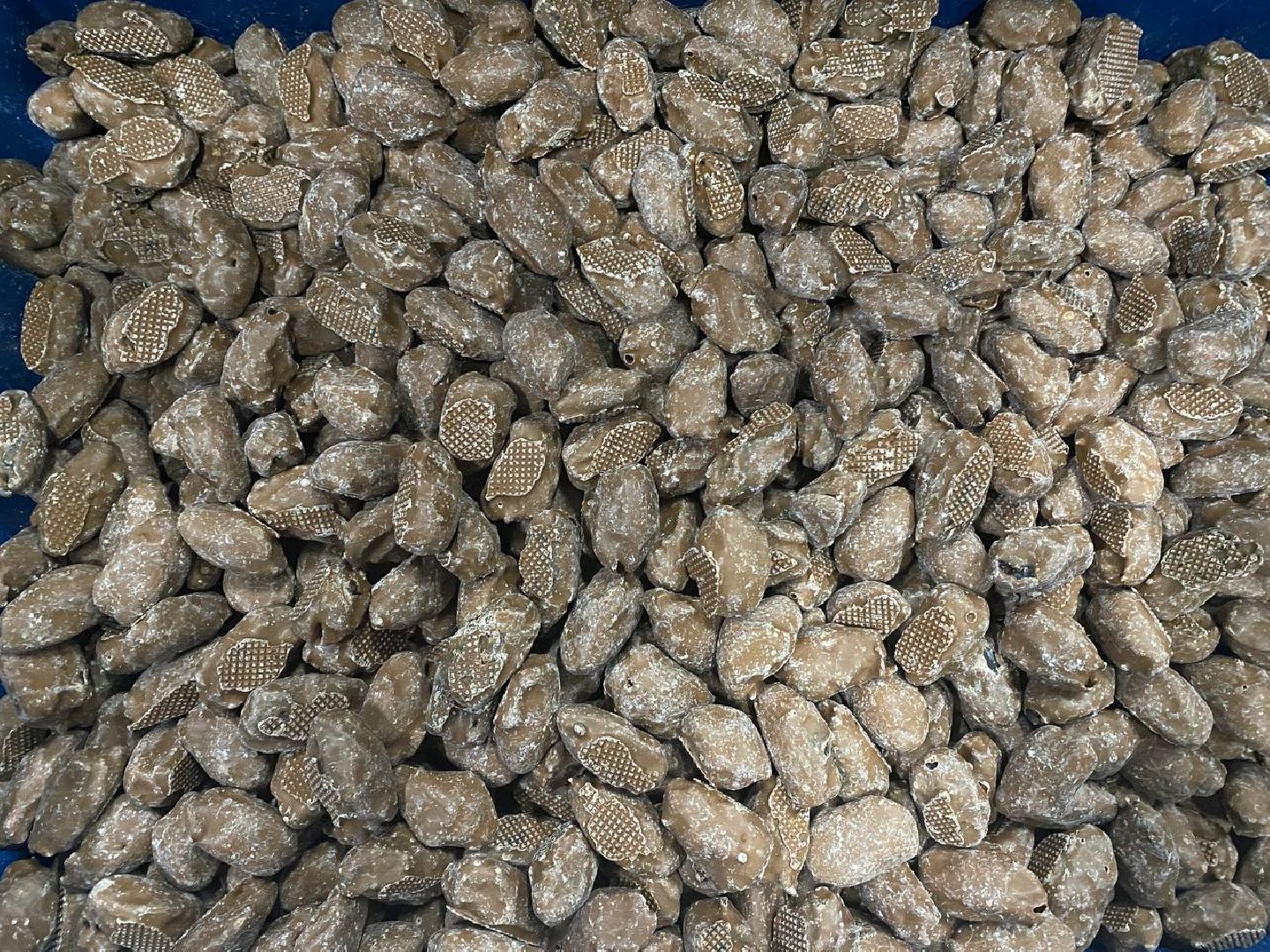 чехов, улица литейная, компания орбита, кондитерское производство, продукты здорового питания, орехи и сухофрукты, новая линейка продукции, финики с миндалем в глазури, вкус карамели, белый молочный темный шоколад,