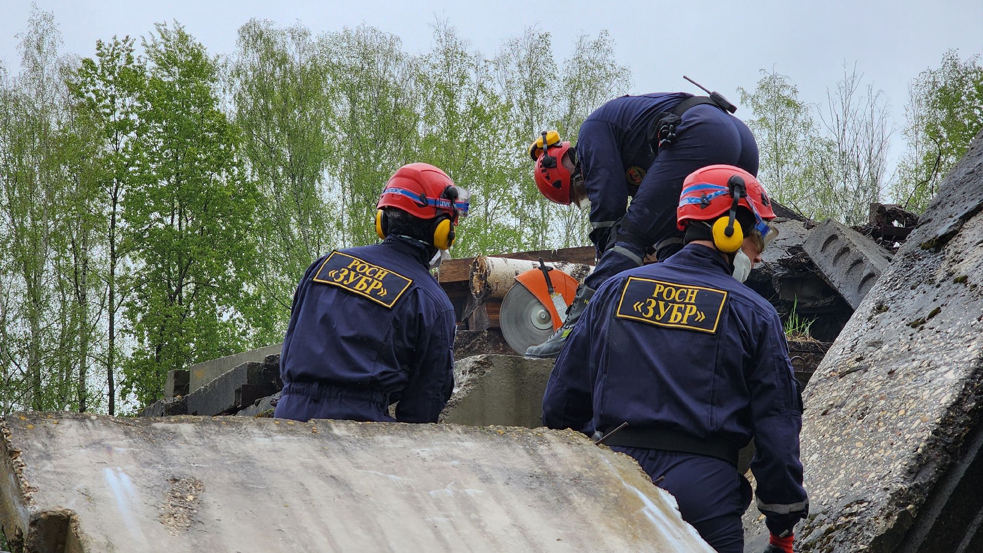 учения спасателей, корпус сил и средств стран снг,   МЧС, ногинск, богородский городской округ,
