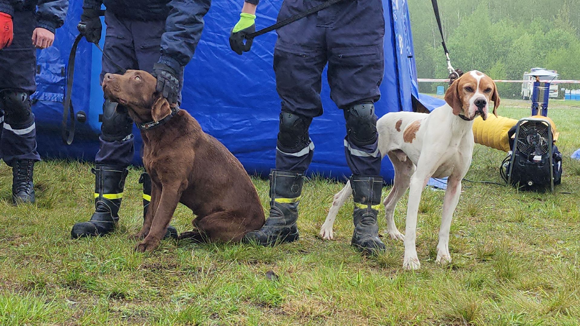 учения спасателей, корпус сил и средств стран снг,   МЧС, ногинск, богородский городской округ,