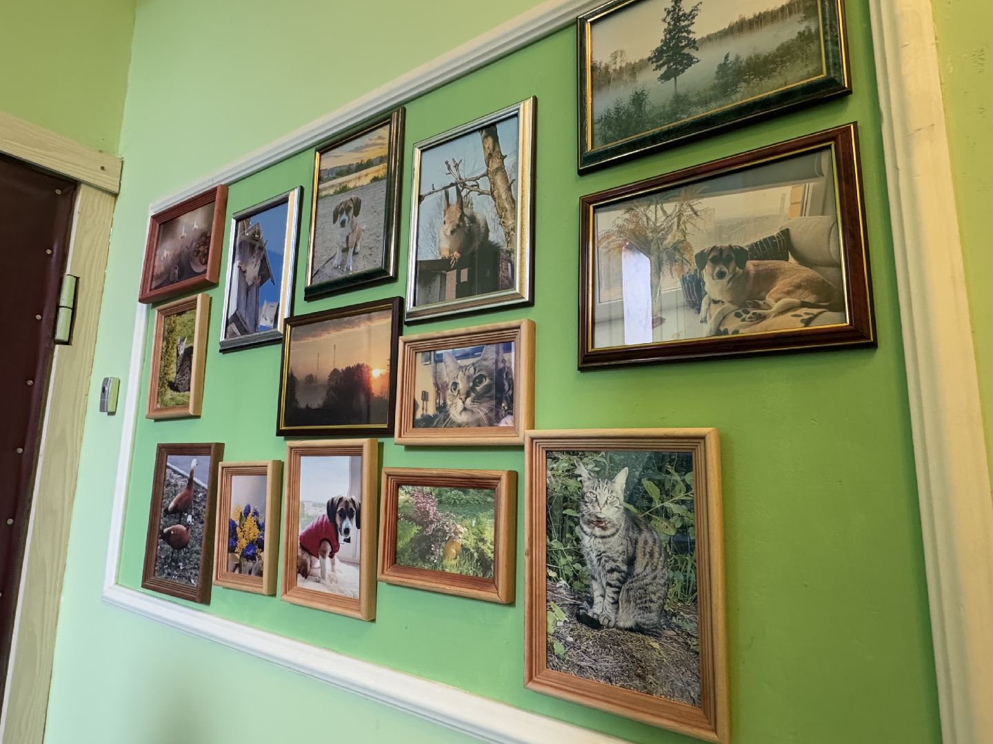 арт-объект, балашиха, творчество жителей, виталий гусаков, микрорайон заря балашиха,