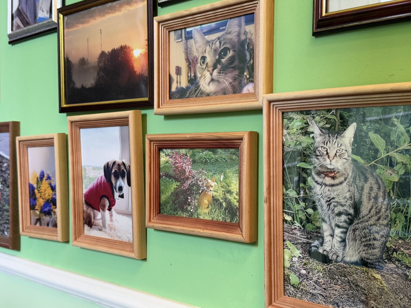 арт-объект, балашиха, творчество жителей, виталий гусаков, микрорайон заря балашиха,