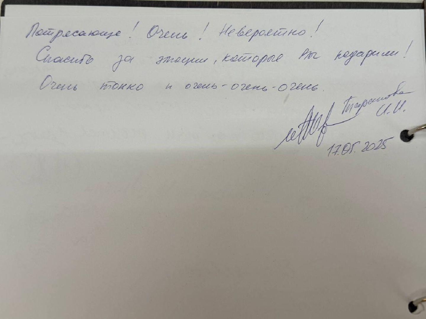 художница, выставка, картины, дк саввино,