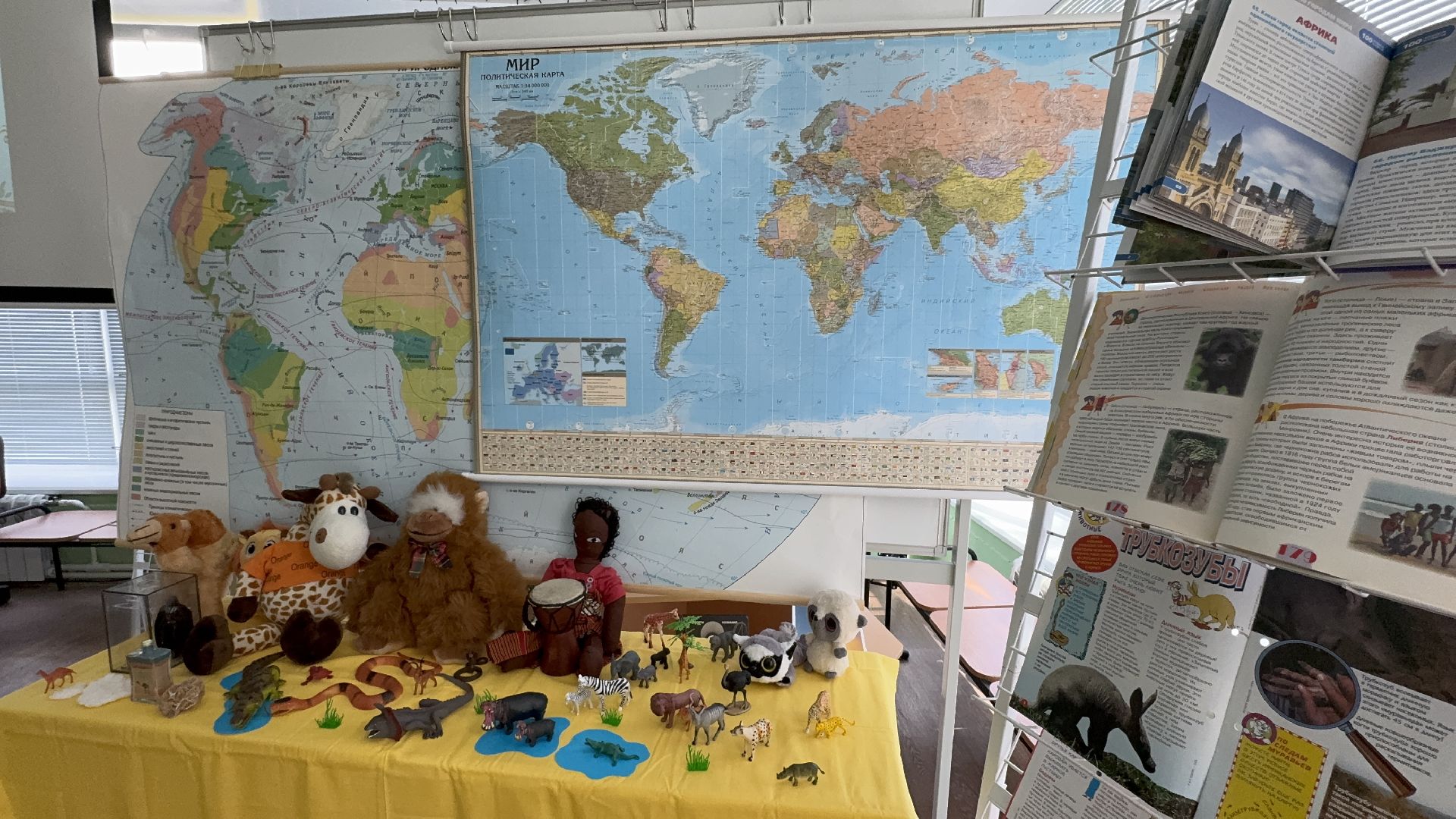 солнечногорск, урок, география, дети, знания,