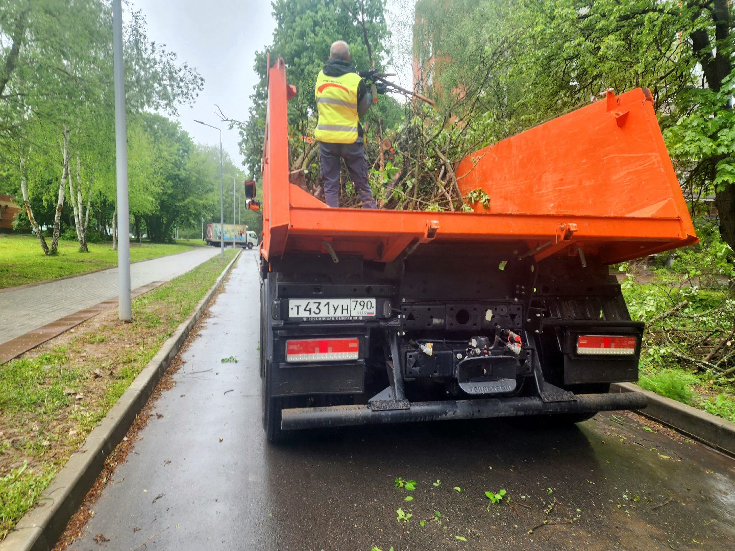 пущино, серпухов, озеленение,