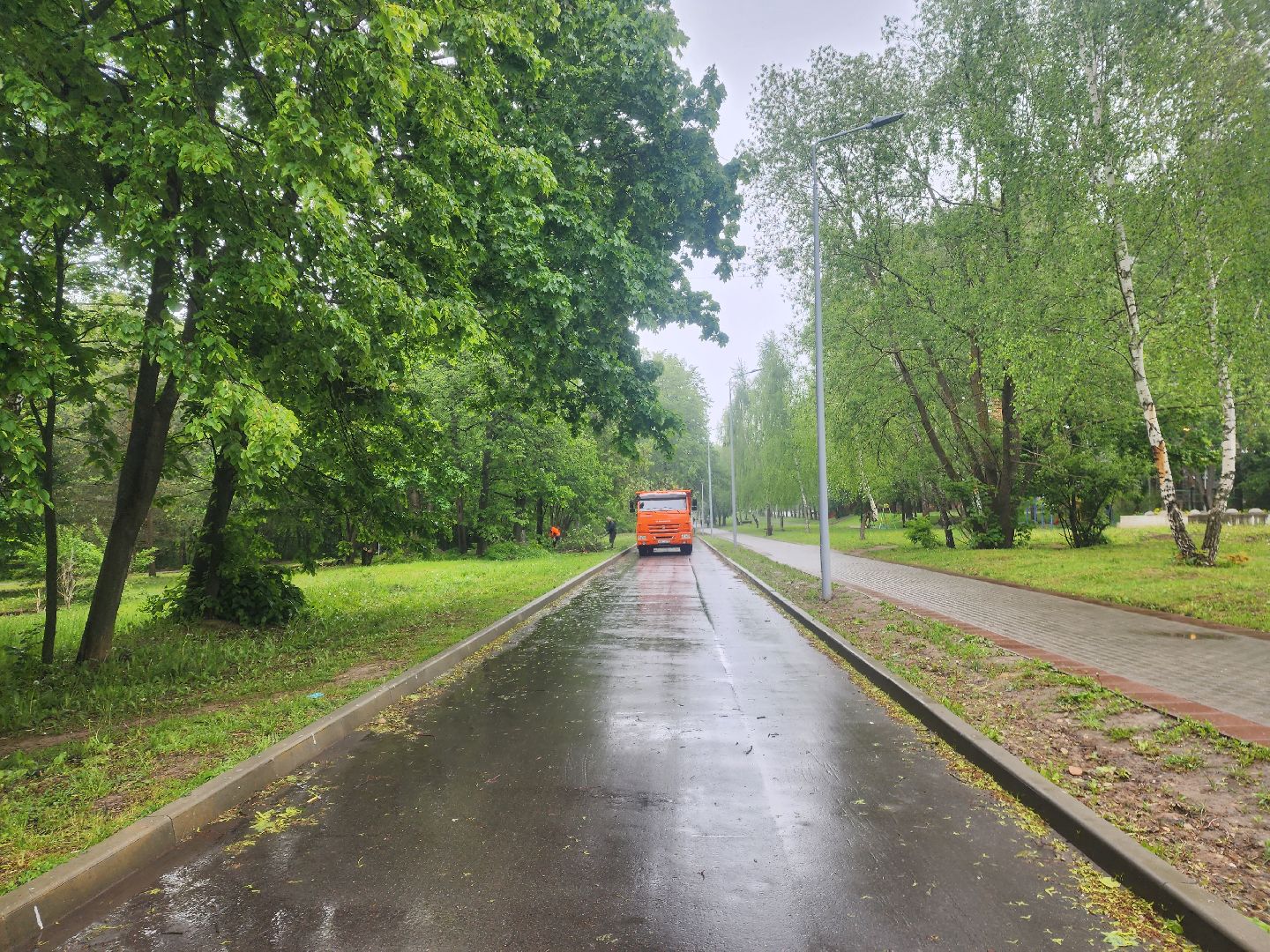 пущино, серпухов, озеленение,