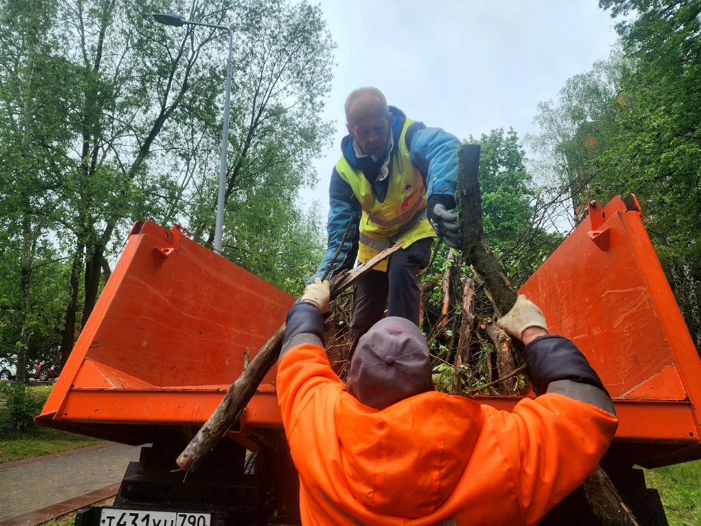 пущино, серпухов, озеленение,