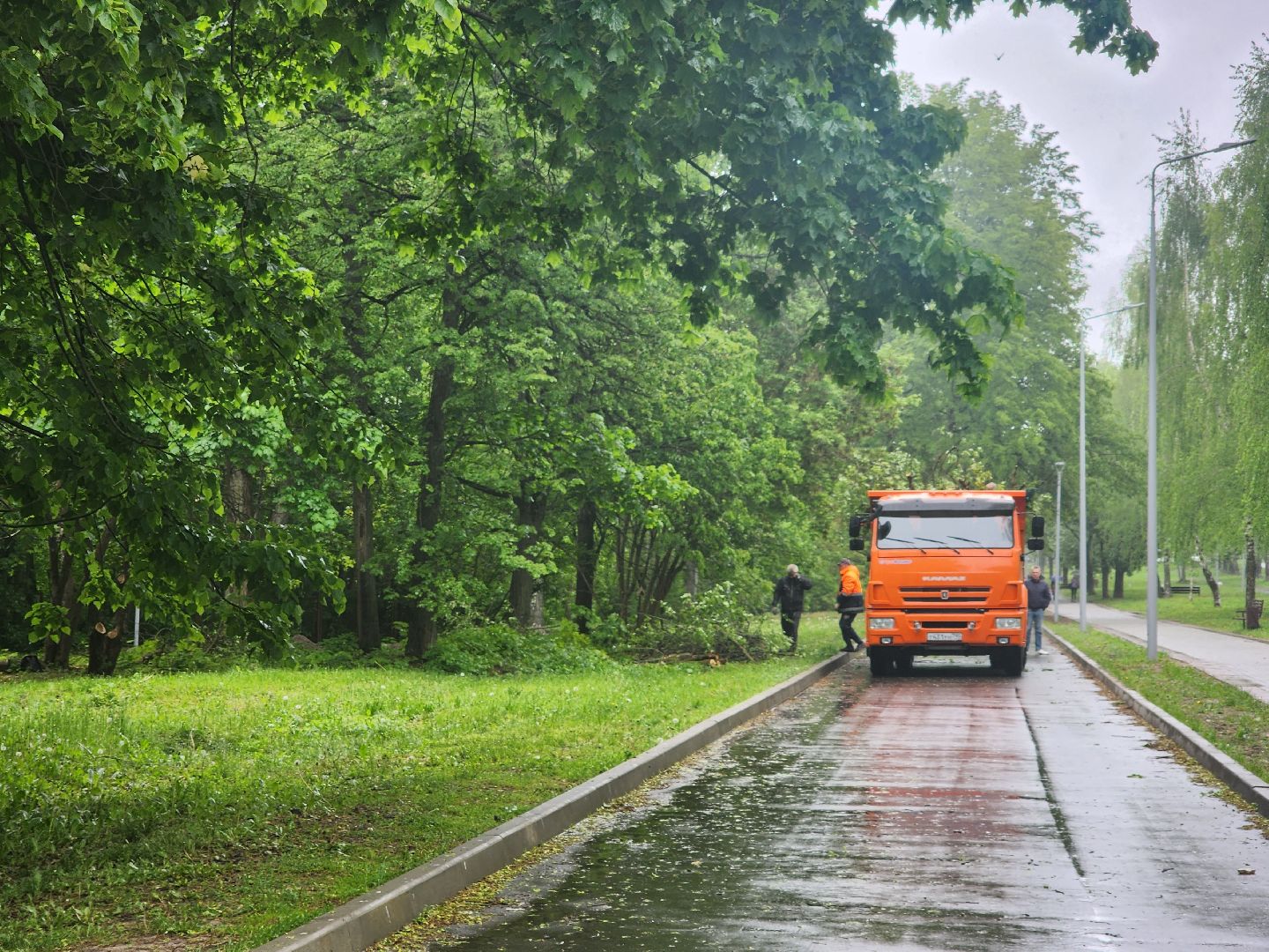 пущино, серпухов, озеленение,