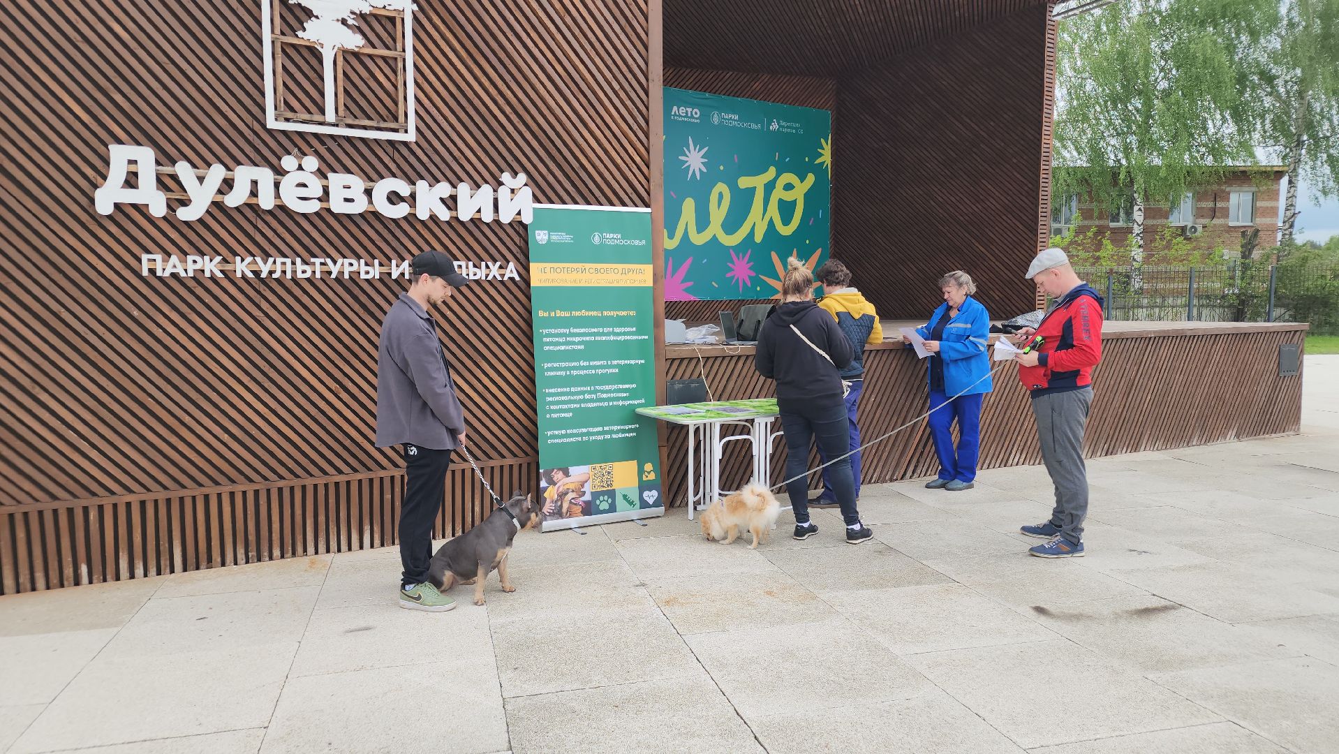 чипирование домашних животных, орехово-зуевский округ, ликино-дулево,